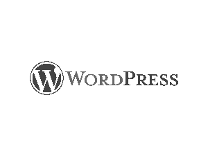 MARKETINŠKA AGENCIJA worpdress
